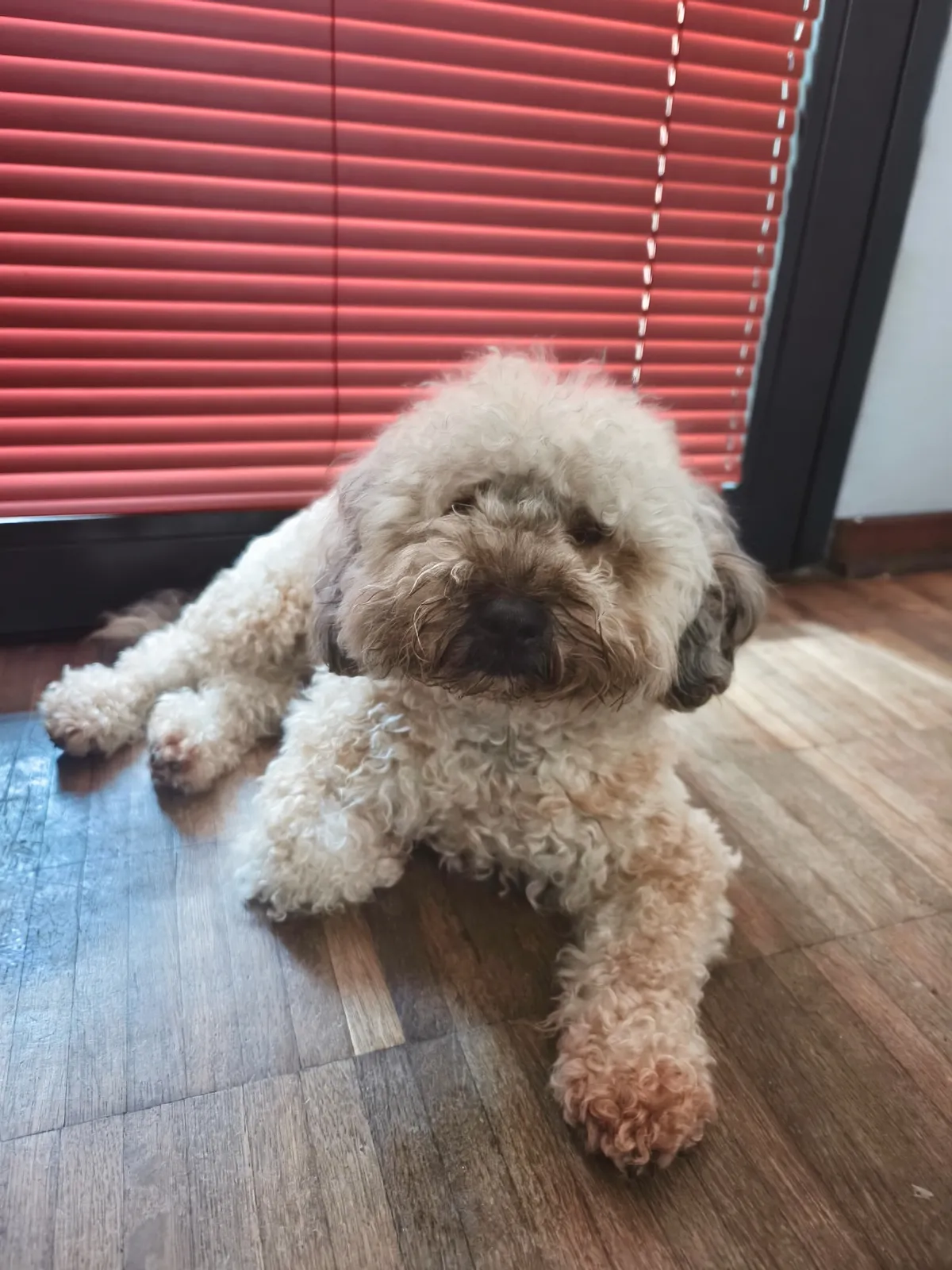 Edie profile photo 1
