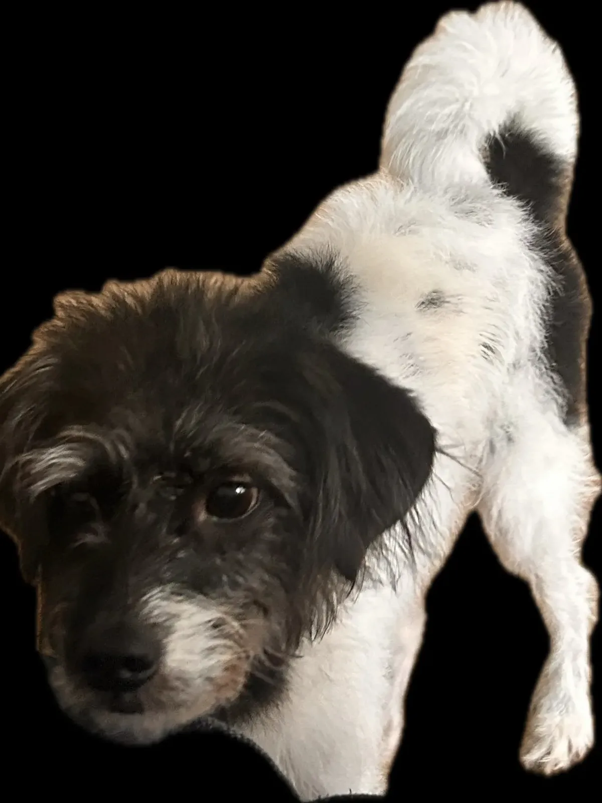 Karry card cover image