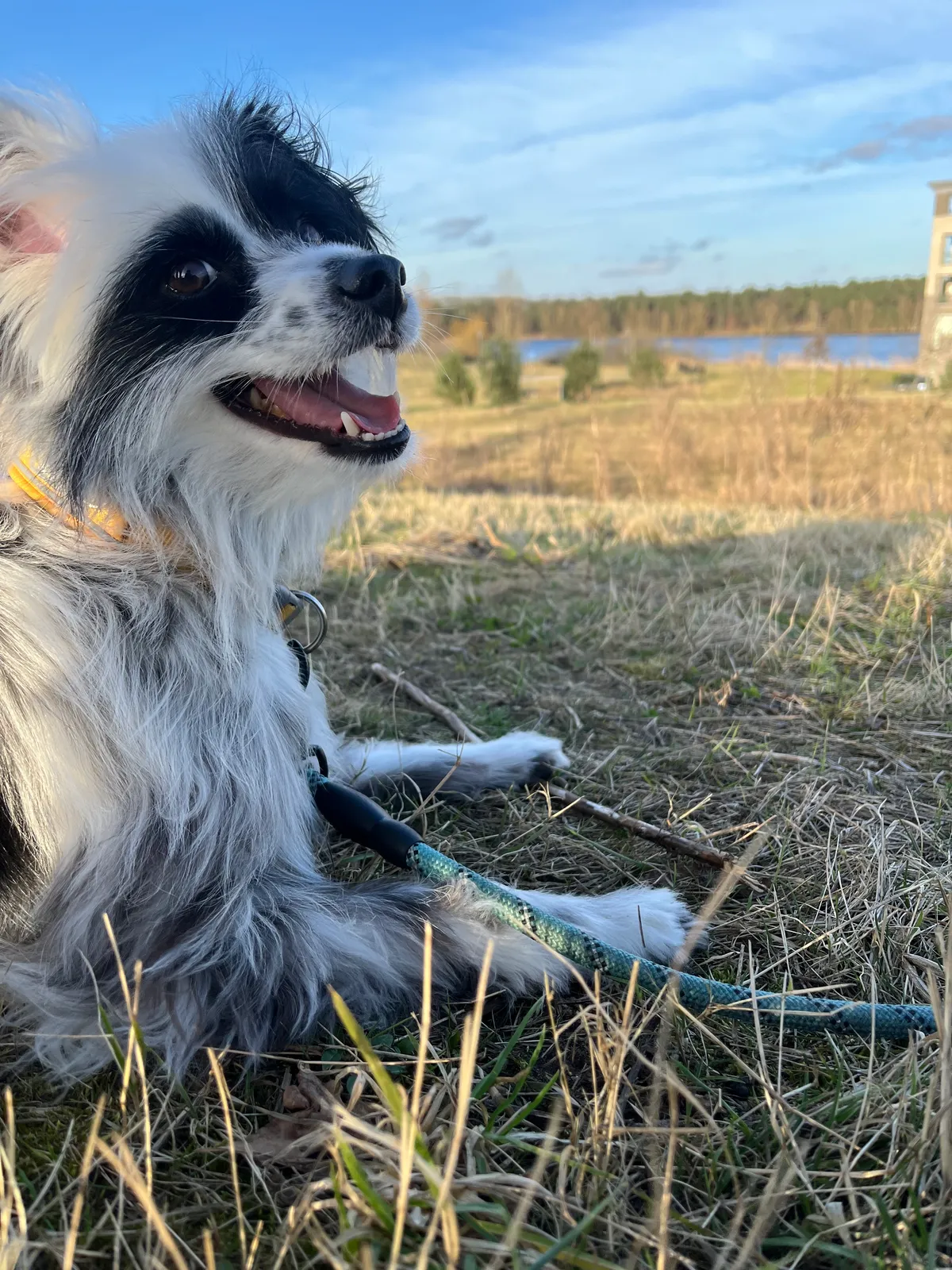 Mika profile photo 1